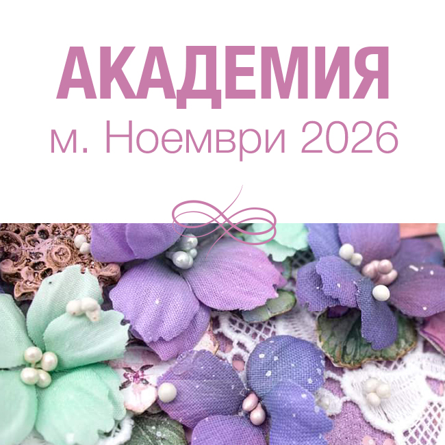 Академия м. Ноември 2026г.